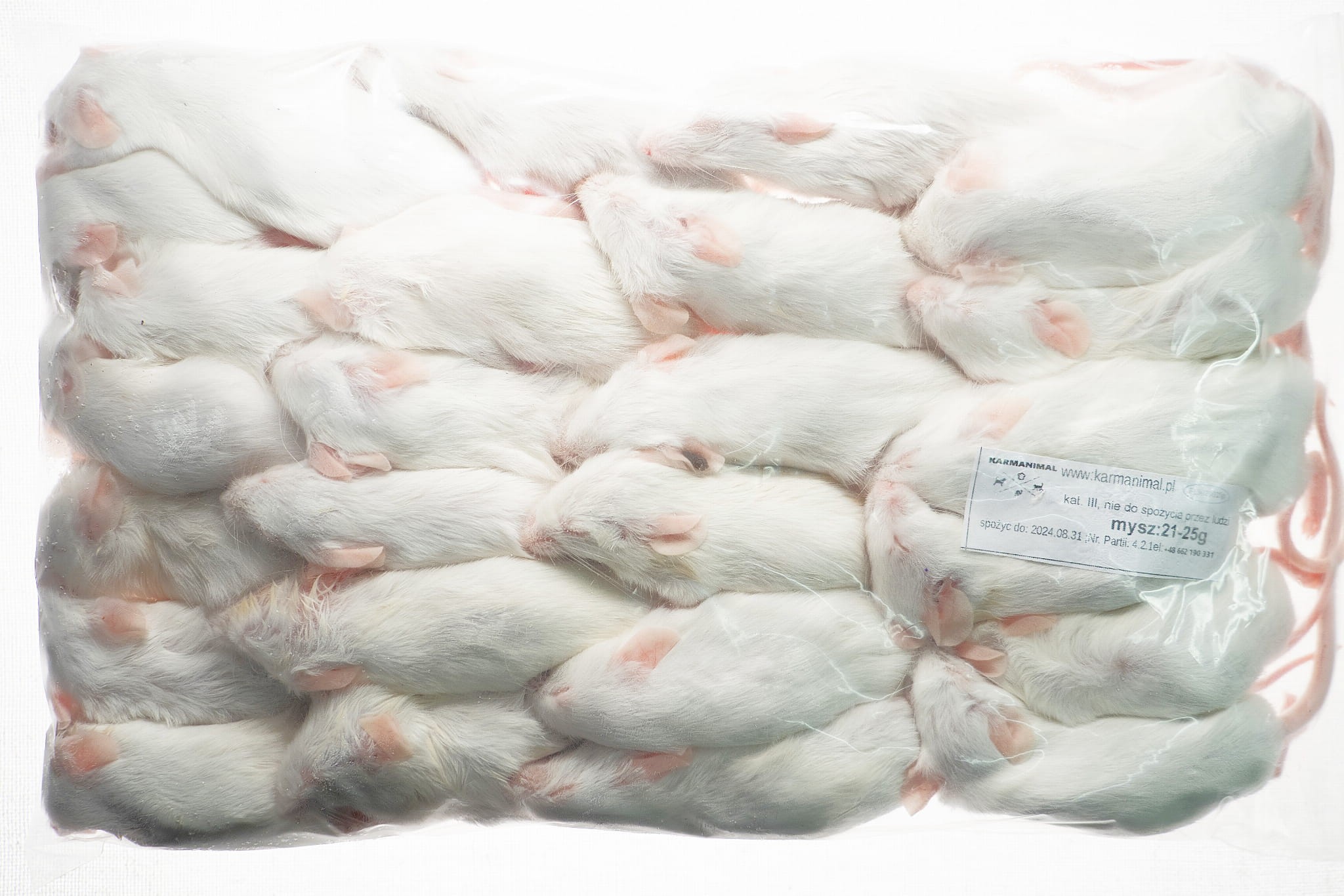 Mysz mrożona 21-25g - obrazek 2