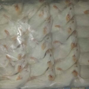 Mysz mrożona 30g+
