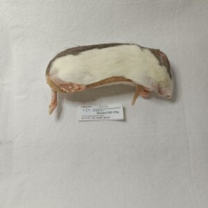 Szczur mrożony  100-120g
