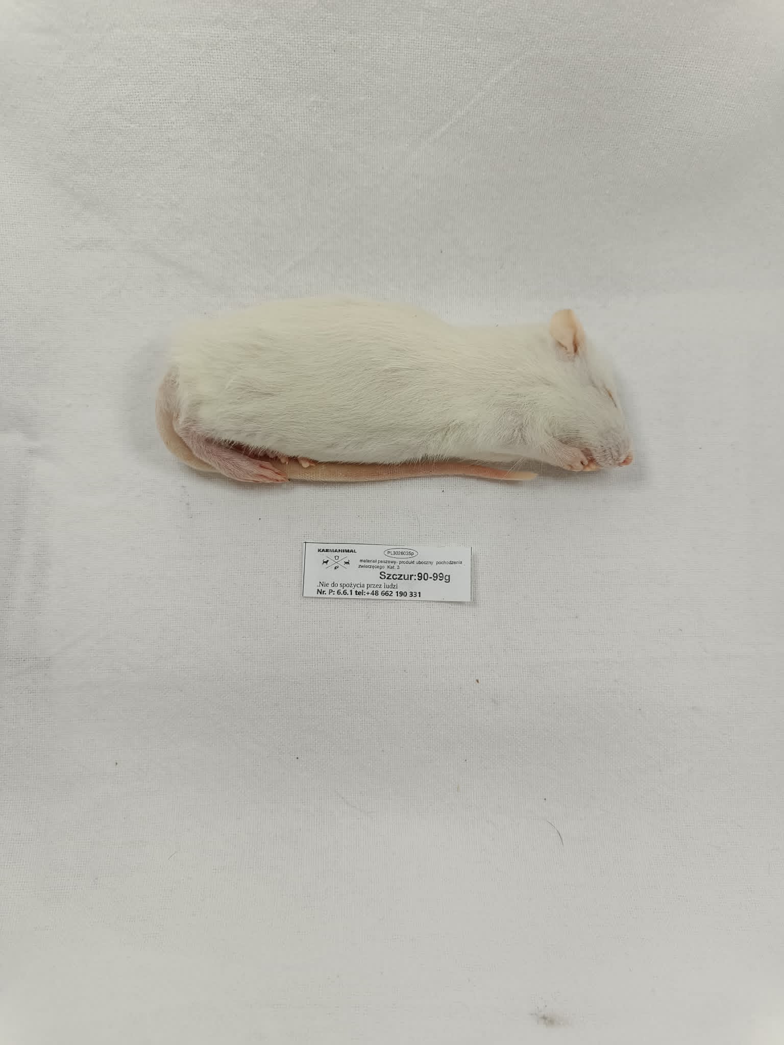 Szczur mrożony 90-99g