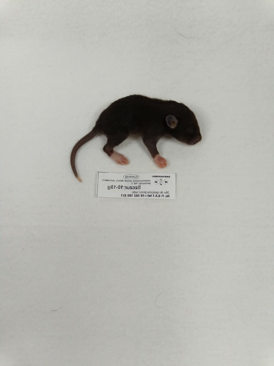 10-19 g produkt